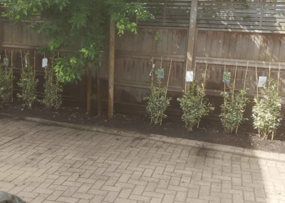 e r services london ltd ratedpeople gallery 002