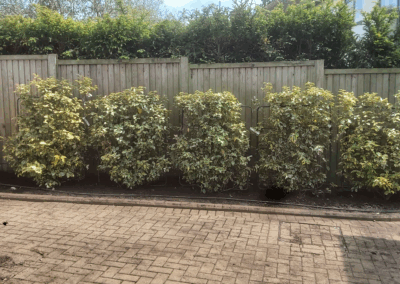 e r services london ltd ratedpeople gallery 003