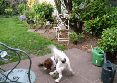 e r services london ltd ratedpeople gallery 034